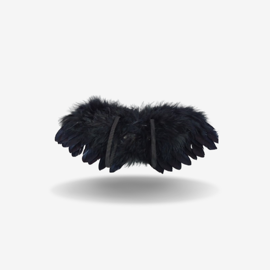Accessoire Ailes