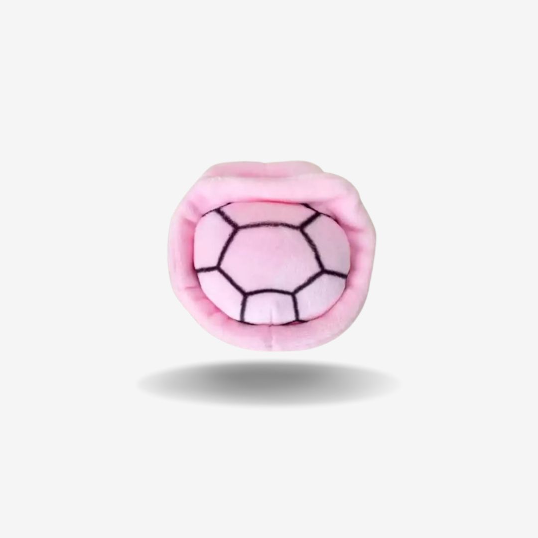 Look Tortue Mignonne
